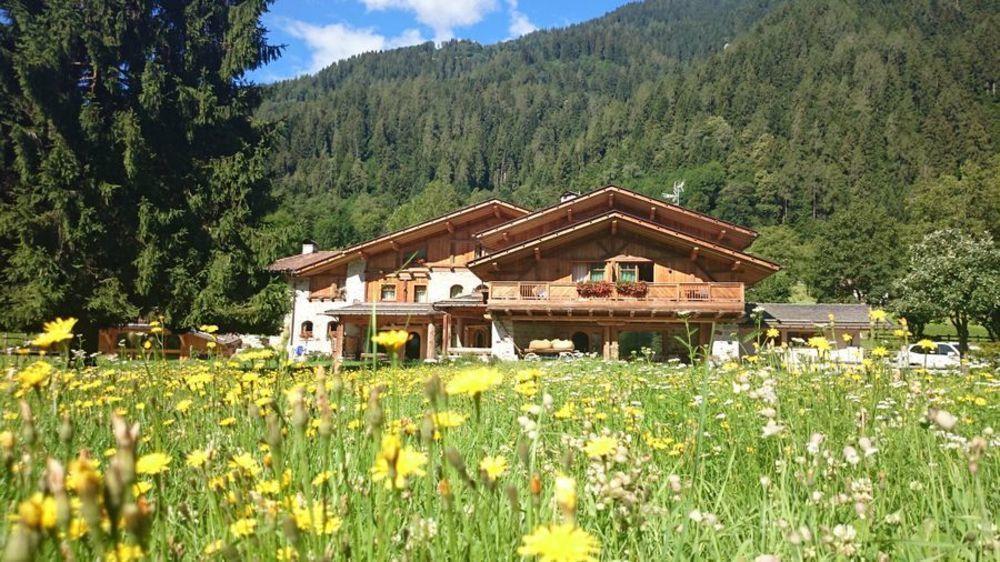 Hotel Maso Del Brenta คาแดร์โซเน ภายนอก รูปภาพ