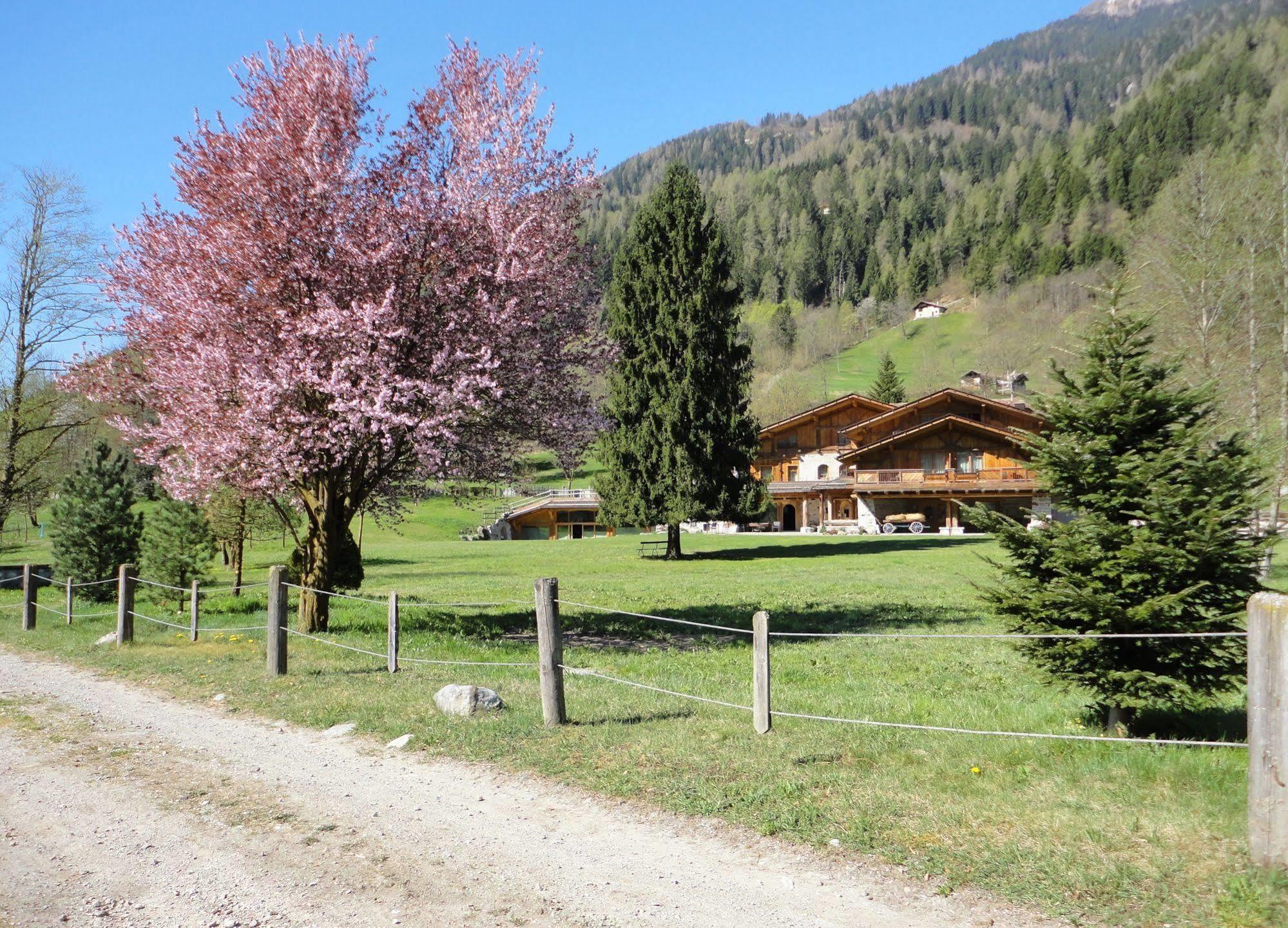 Hotel Maso Del Brenta คาแดร์โซเน ภายนอก รูปภาพ